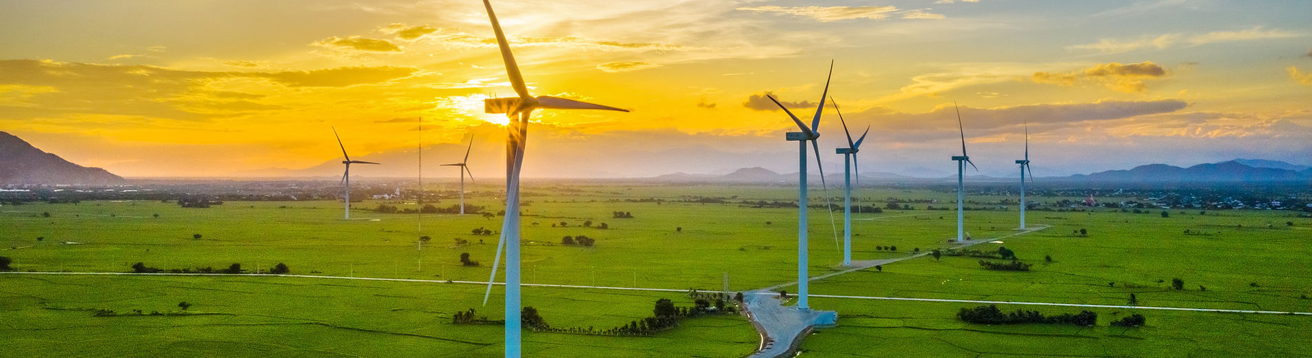 Sustainability leadership | Steve Quenette